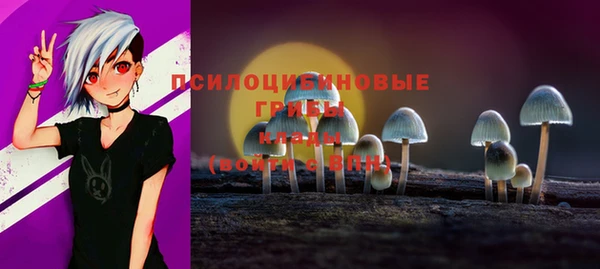 хмурый Зерноград
