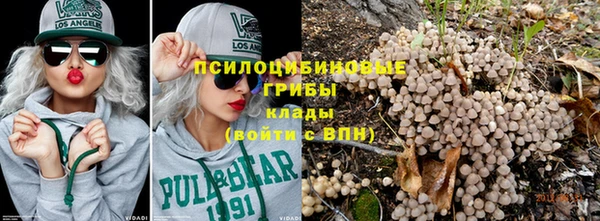 дживик Зеленодольск