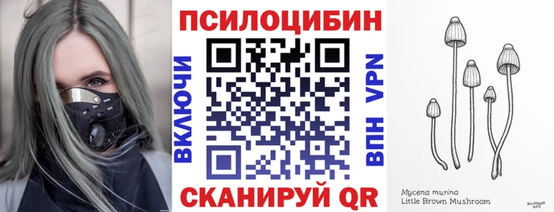 Галлюциногенные грибы Magic Shrooms  Купить закладки  Камышлов 
