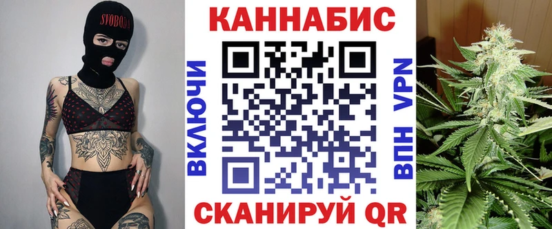 Купить закладки  Камышлов  Бошки Шишки Amnesia 
